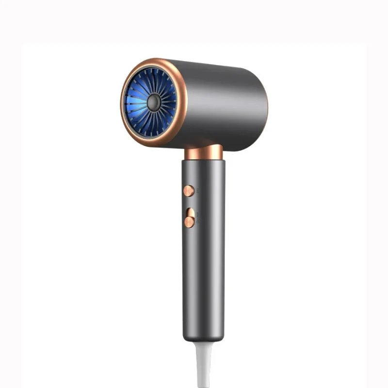 Sèche-cheveux professionnel 2000W ionique pour salon