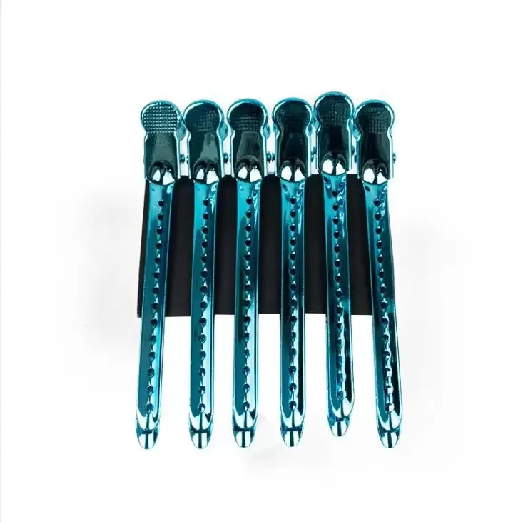 Lot de Pinces à Cheveux Brillantes