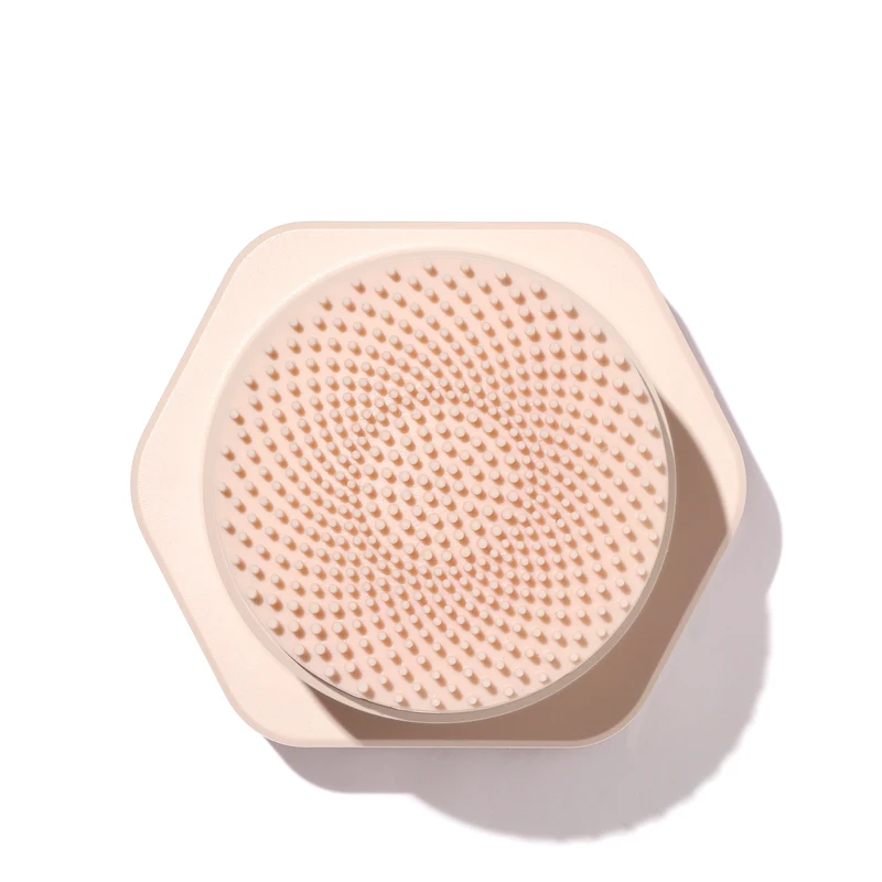 Brosse Nettoyante L1