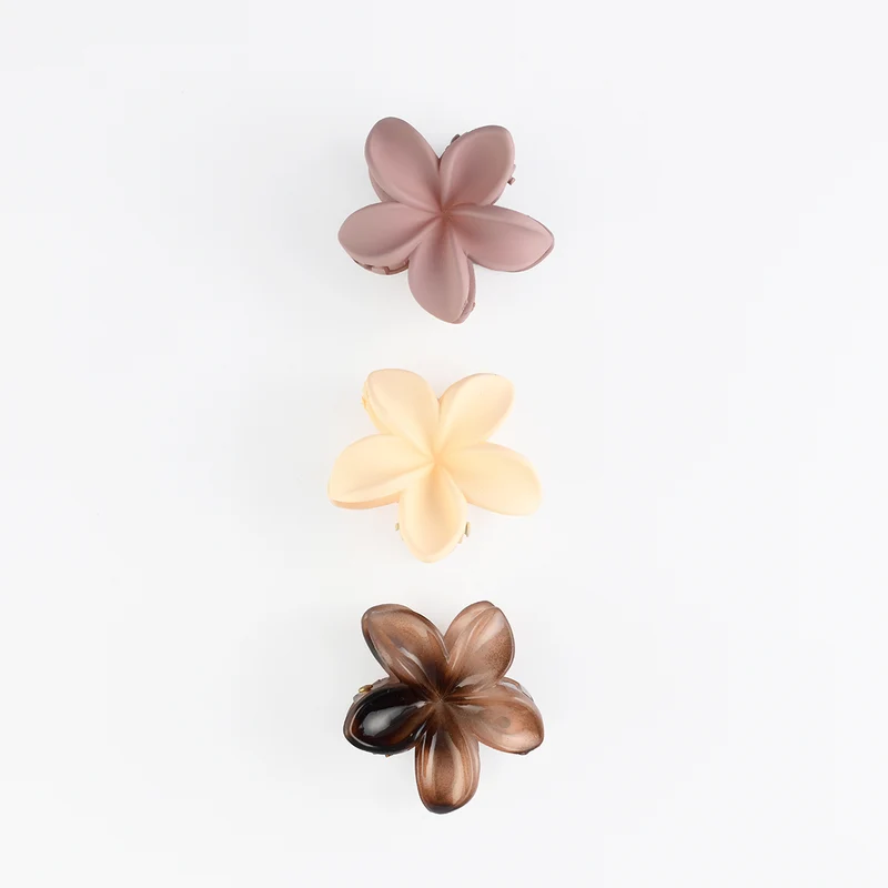 Set x3 pinces cheveux