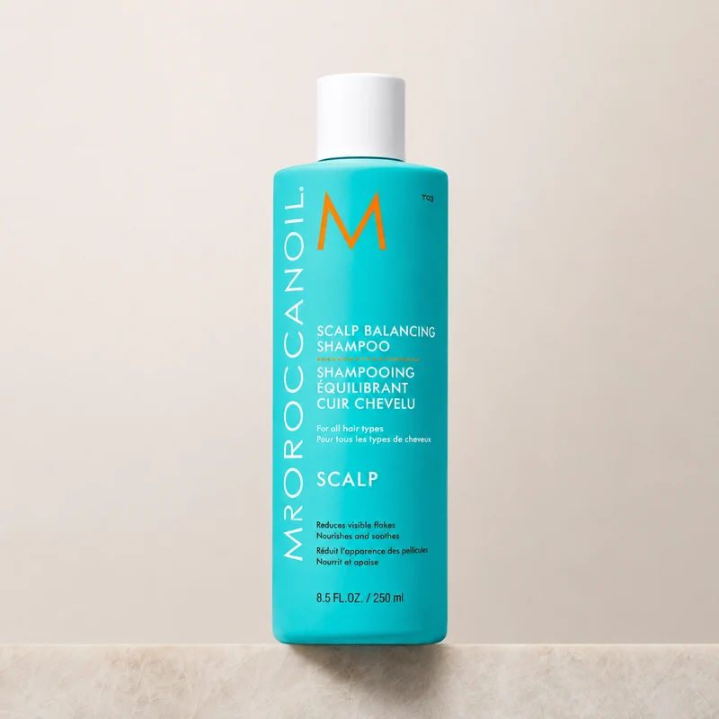 MOROCCANOIL scalp shampoing équilibrant cuir chevelu