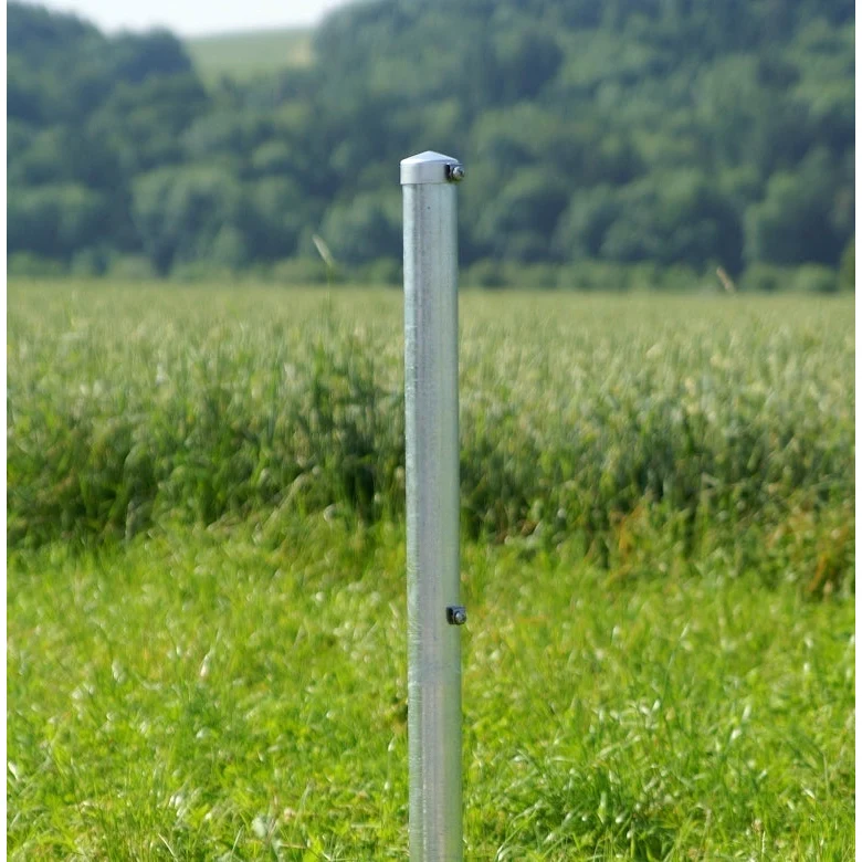 Rohrpfosten, Ballfang