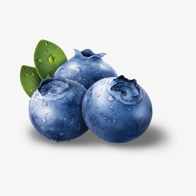 Japanese Blue berry