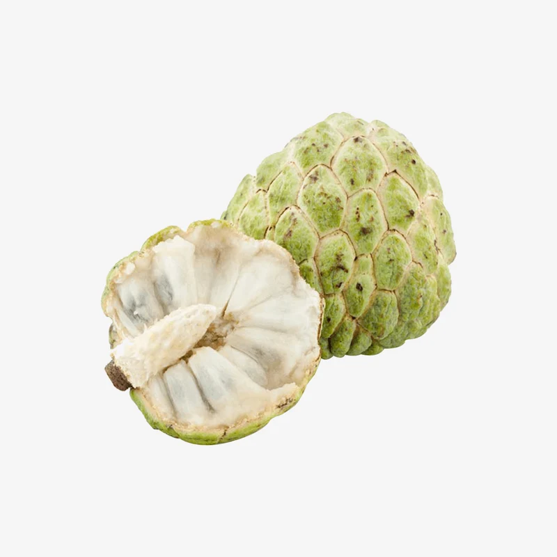 American Sugar-apple