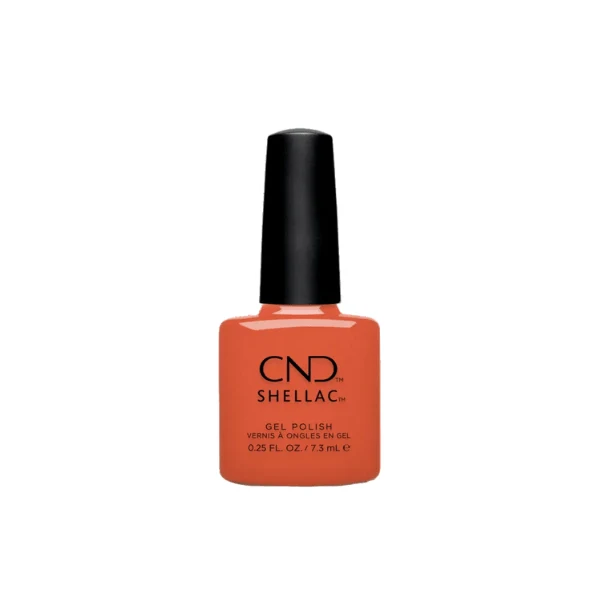 Vernis Uv Ig-Night-Ed Shellac