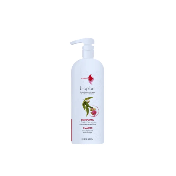 Shampoing Eucalyptus