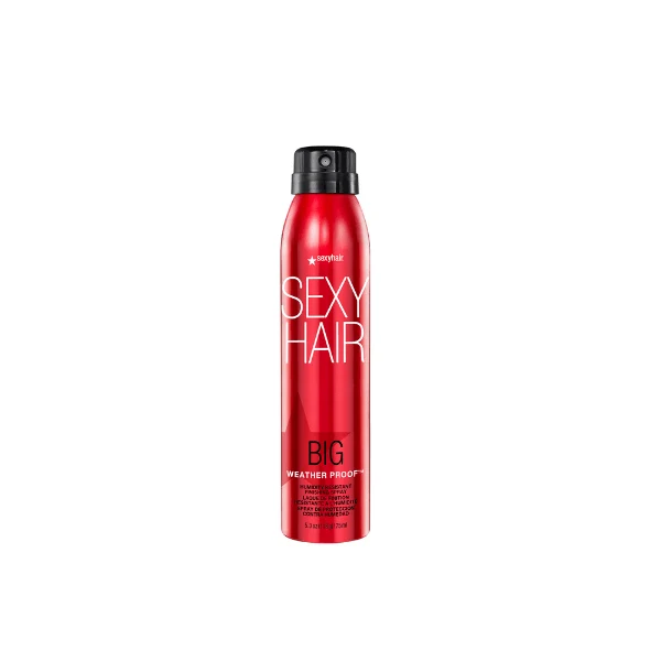 Spray de finition Anti-humidité Weather Proof Big